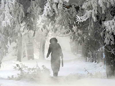 cold008.jpg